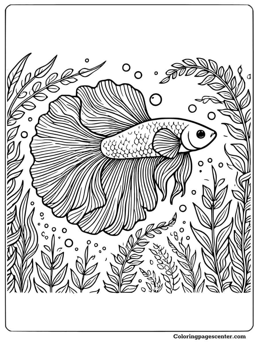 A betta fish coloring page surrounded by tall aquatic plants and scattered bubbles