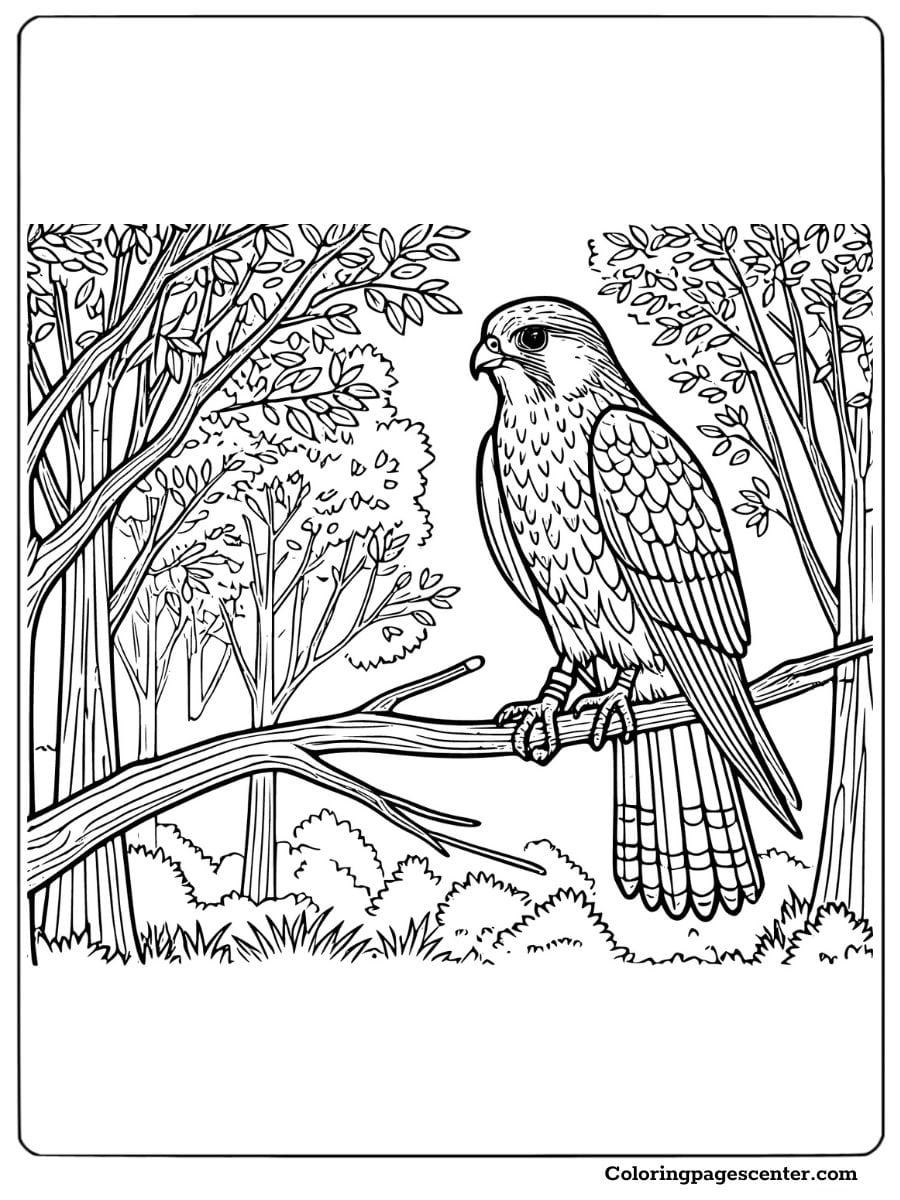 Falcon resting on a tree branch surrounded by forest foliage coloring page