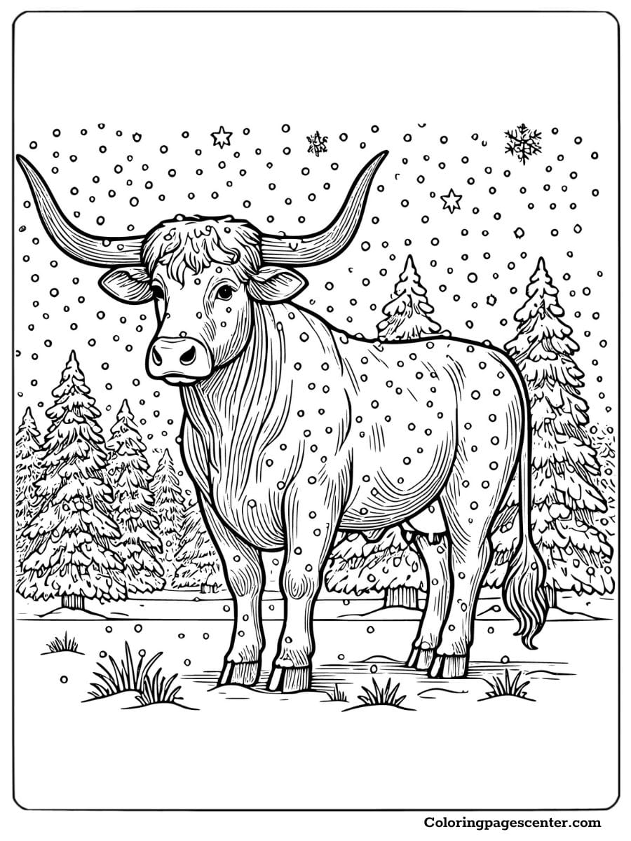 Winter Texas Longhorn cow with snow and pine trees to color