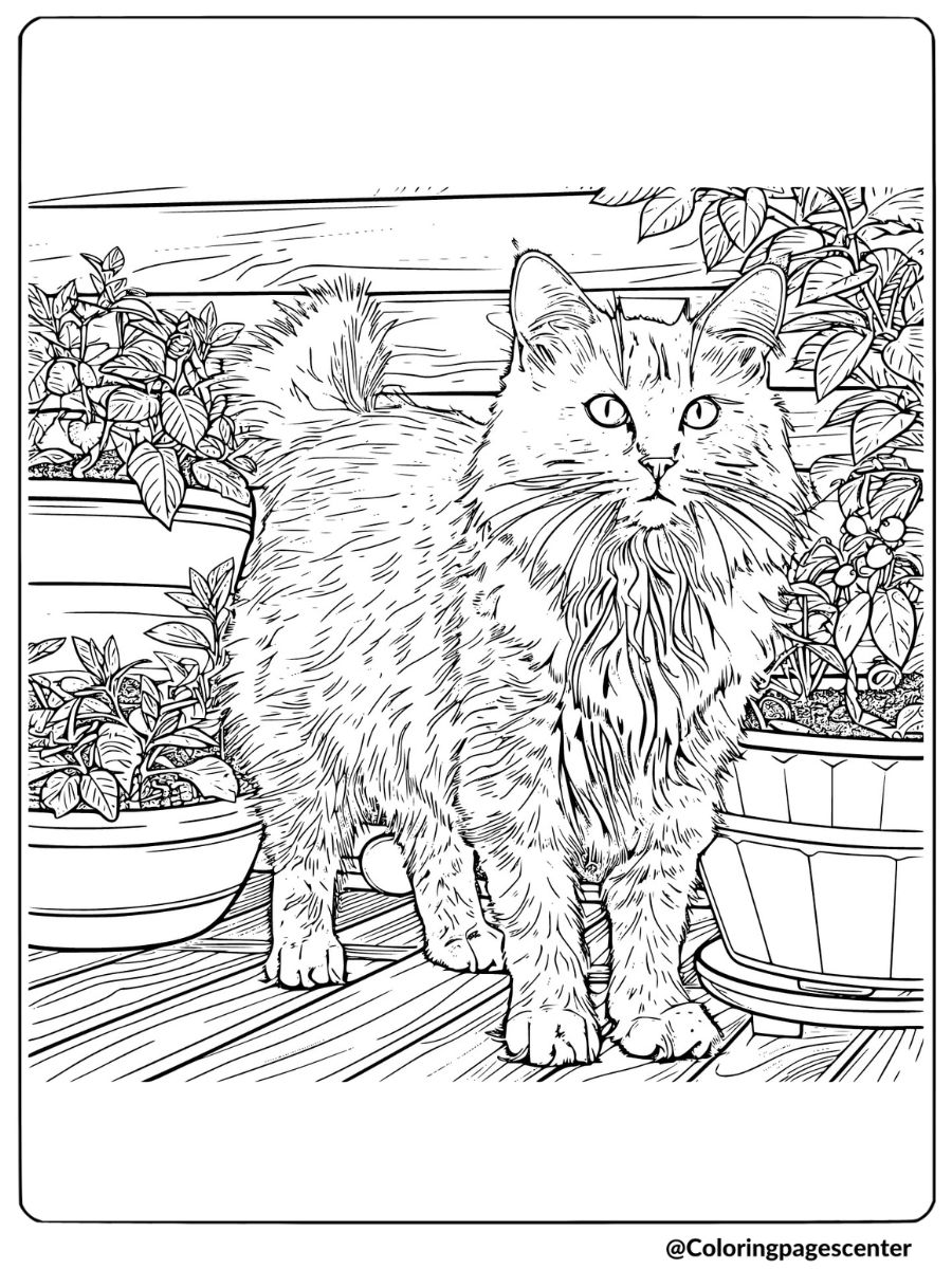 Coloring page of a realistic cat among potted plants on a deck 