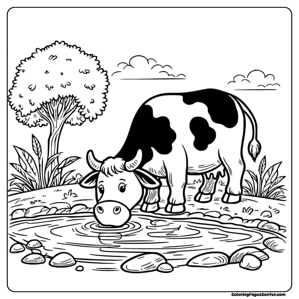 Cow coloring page with a cow sipping water by a quiet pond