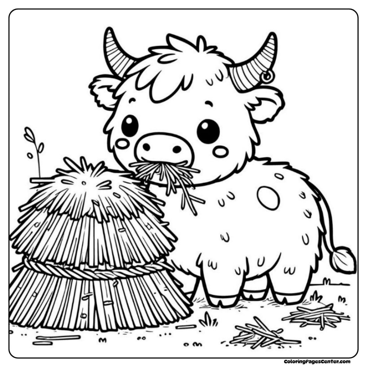 Easy highland cow coloring page munching on a pile of fresh hay Highland cow coloring sheet eating hay in the sunny field