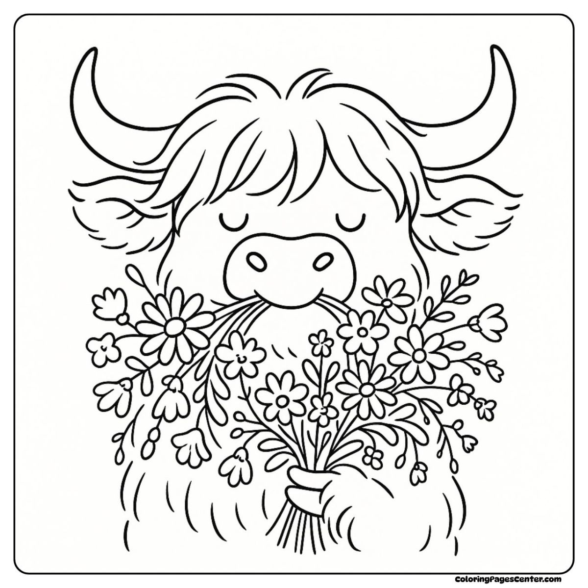 Flower coloring highland cow coloring page holding a wildflower bouquet Flower coloring highland cow coloring page surrounded by fresh wildflowers