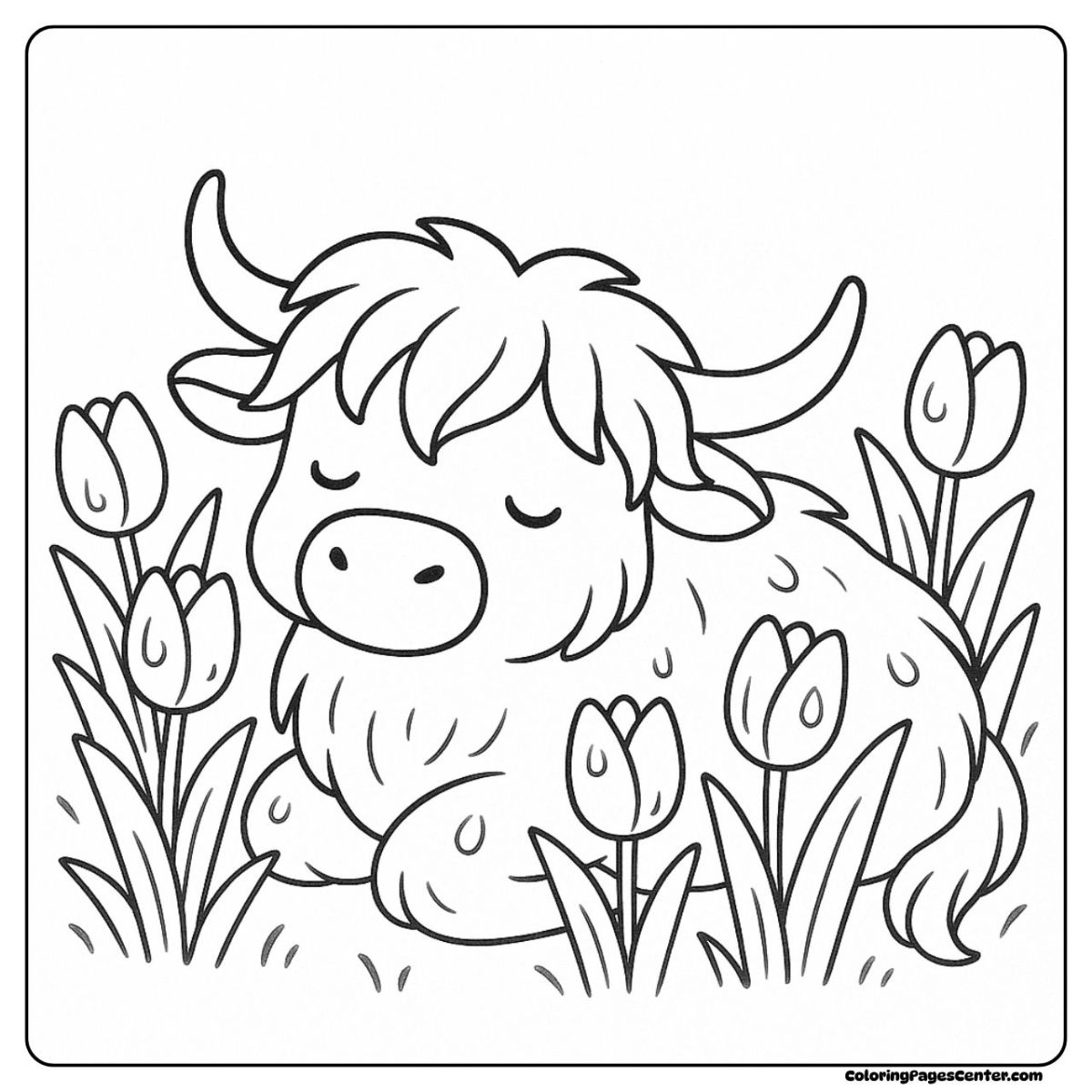 Highland cow coloring page surrounded by blooming tulips