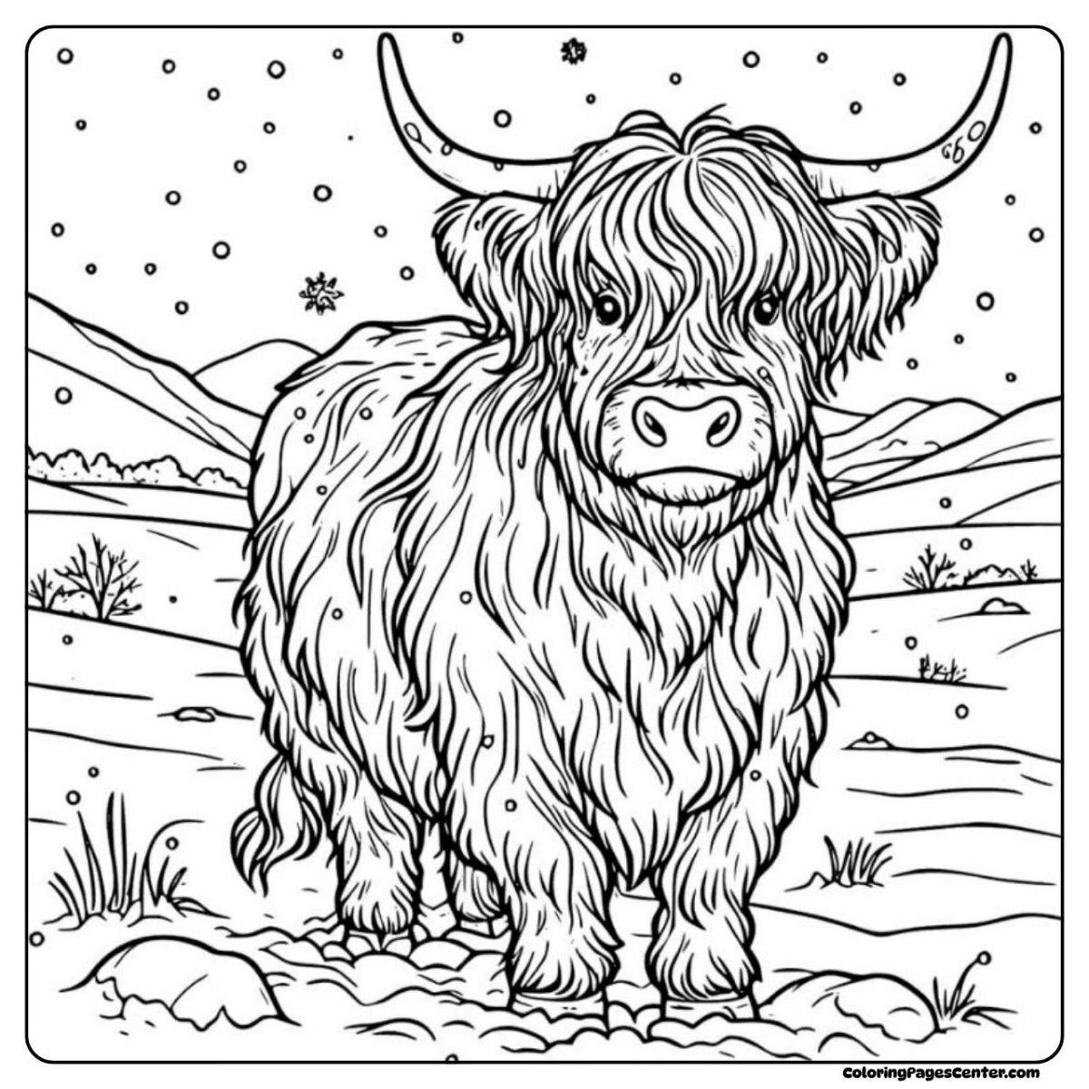 Winter highland cow coloring page in the snow