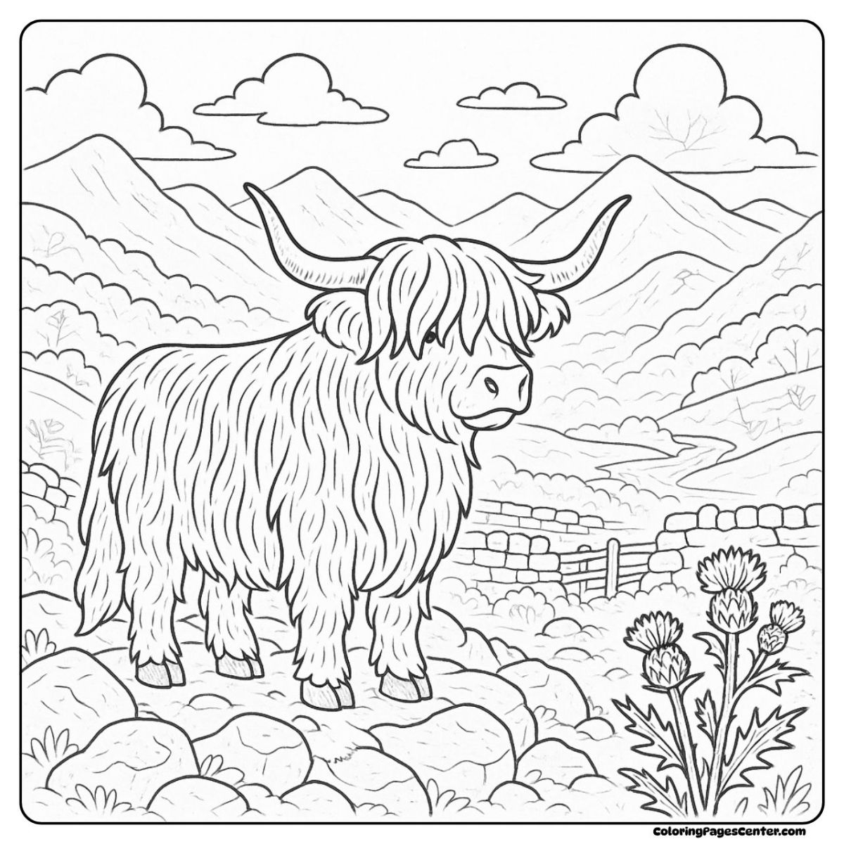 Highland cow coloring pages for adults with wild thistles and rocks