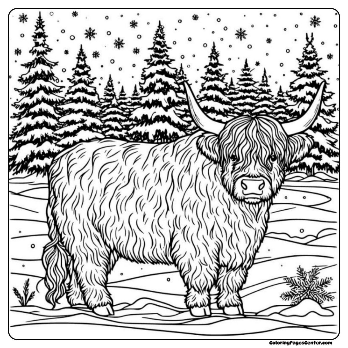 Highland cow coloring pages for adults with falling snowflakes