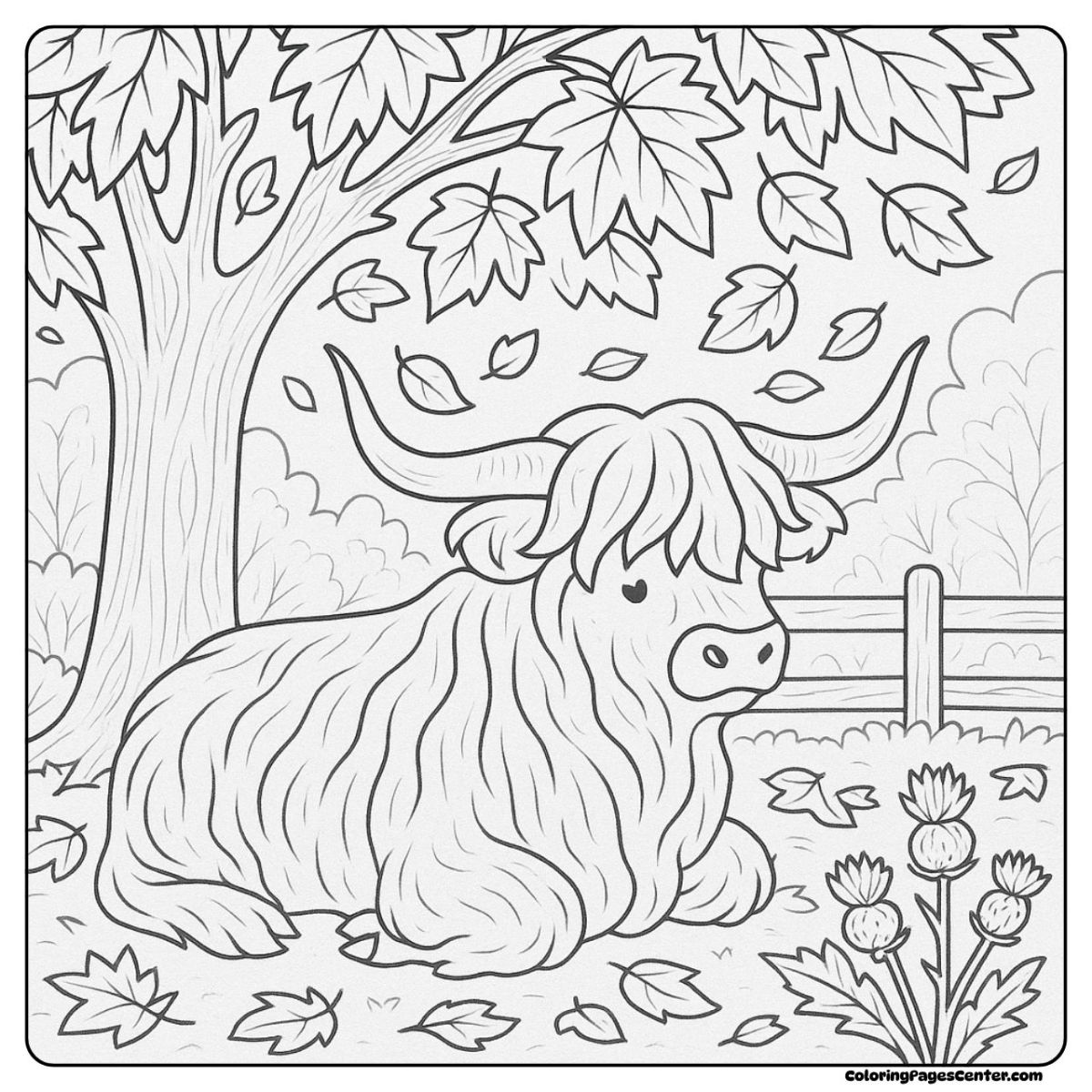 Highland cow coloring pages for adults under autumn maple trees Highland cow coloring pages for adults with falling leaves and thistles