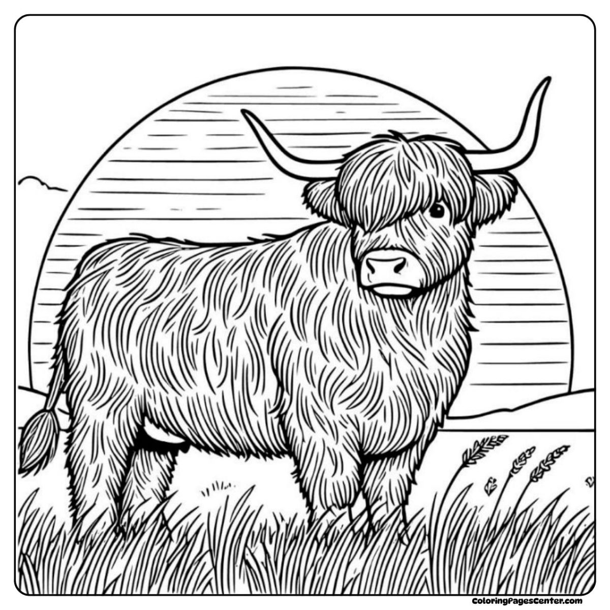 Highland cow coloring pages for adults in tall grass and hills