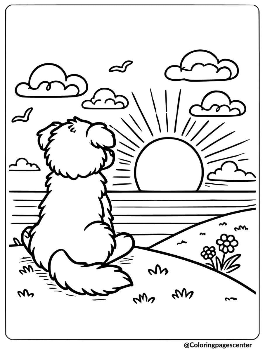 Dog sitting on a hill watching a beautiful sunset over the ocean coloring page