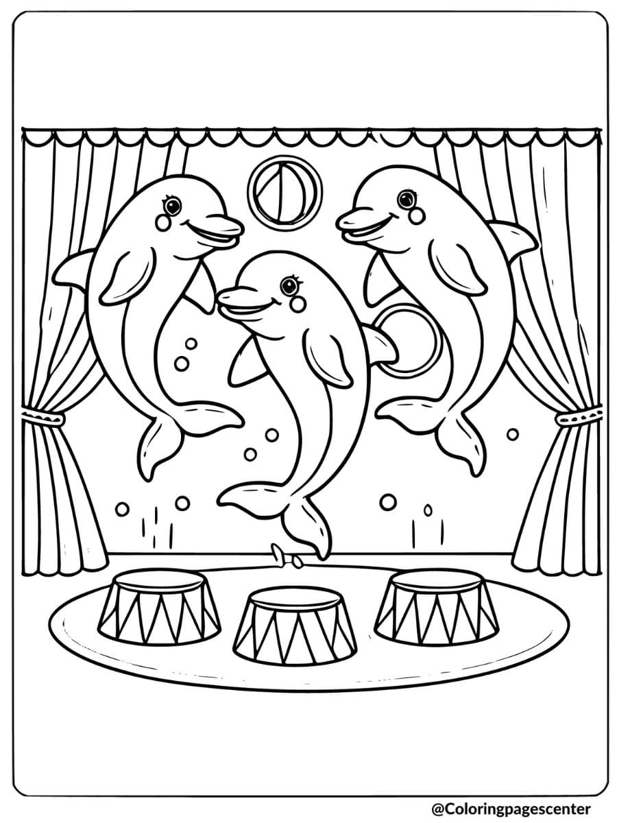 Coloring page of dolphins performing tricks on stage