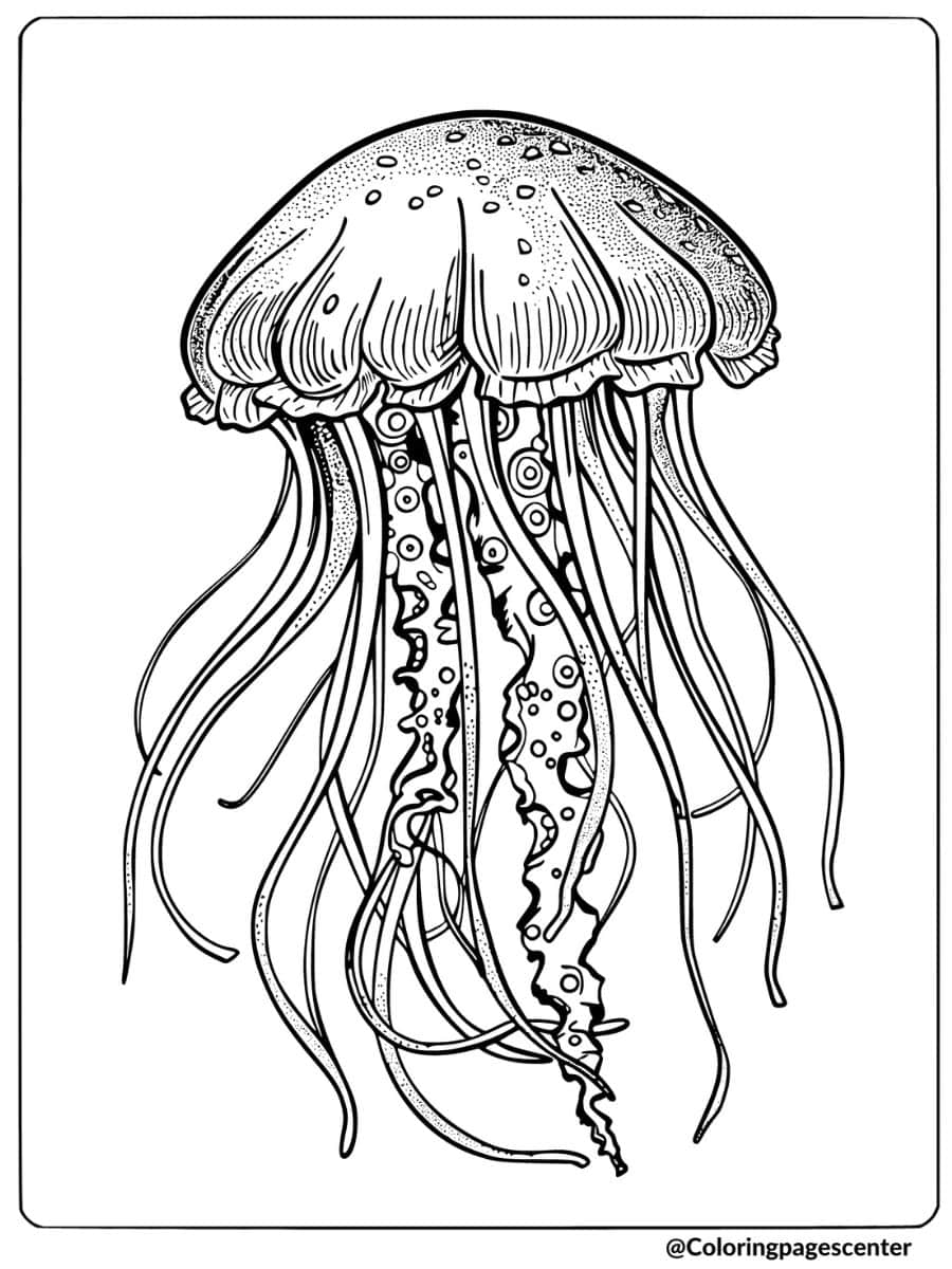 Coloring Page for Adults of Unique Jellyfish