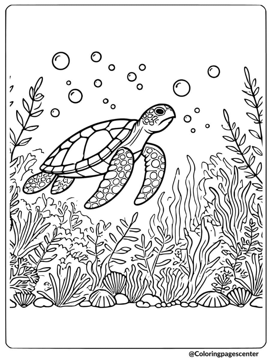 Sea turtle swimming in seaweed coloring page