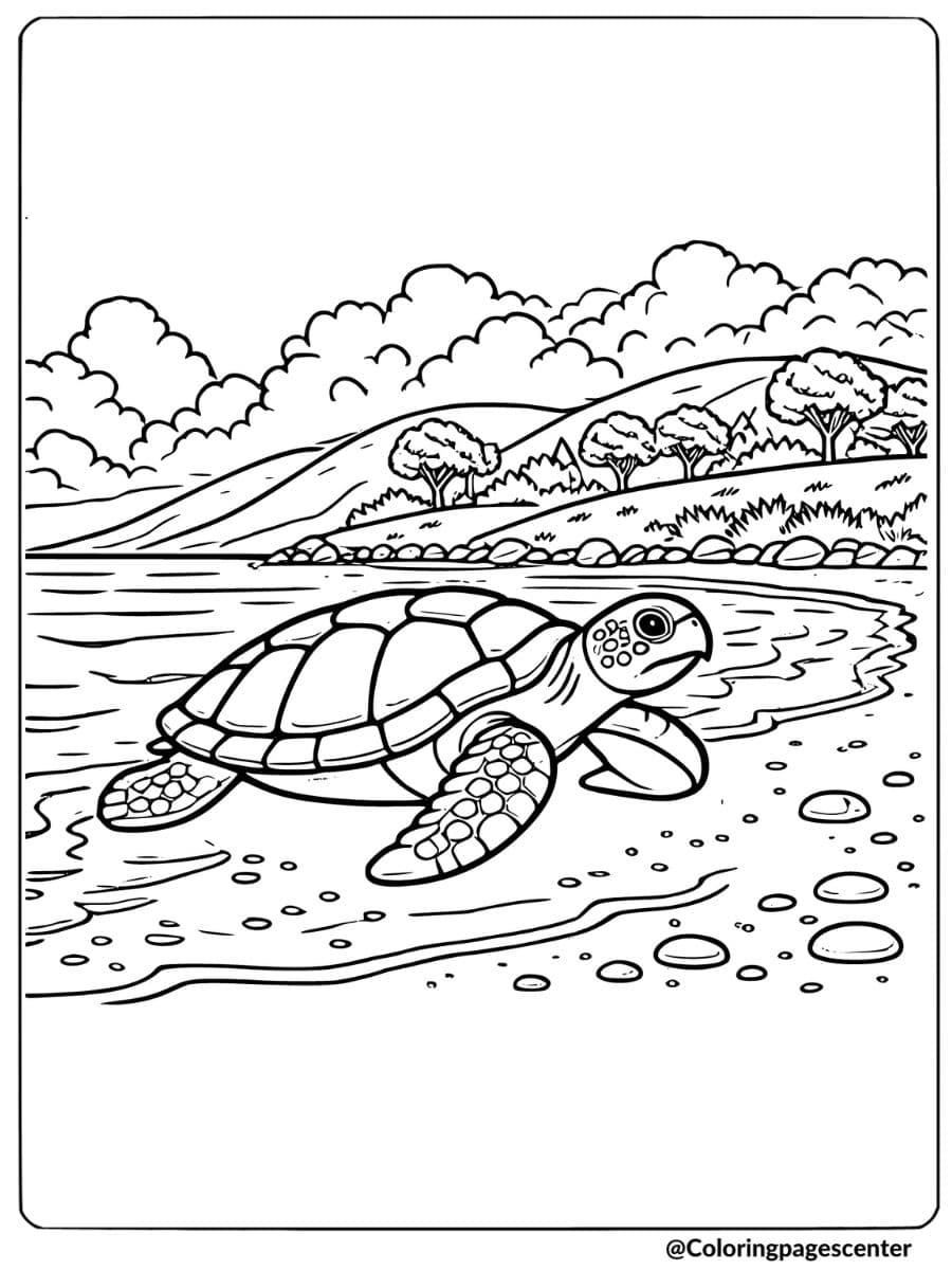 Sea turtle on the shore coloring page