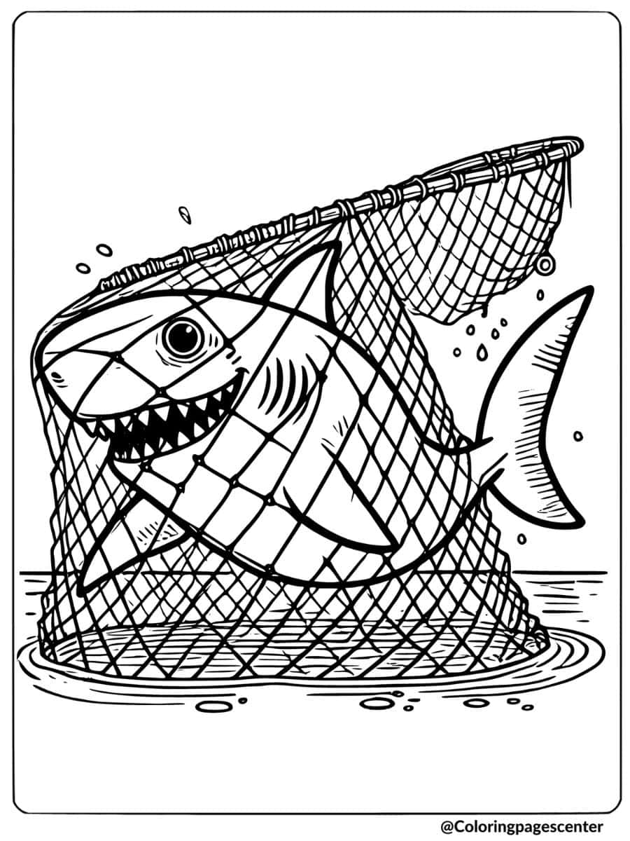 Scary shark caught in a net coloring page