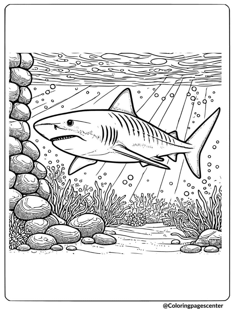 Coloring page of tiger shark near rocks underwater