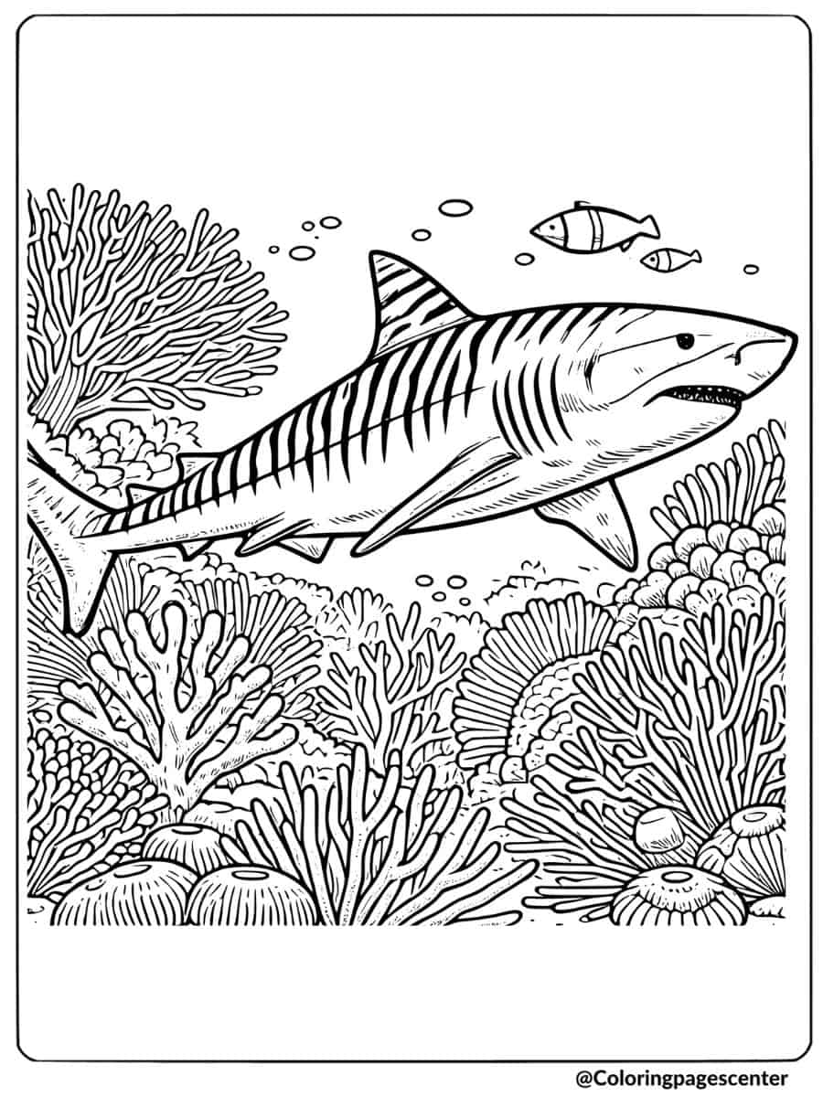 Coloring page of tiger shark with various fish underwater