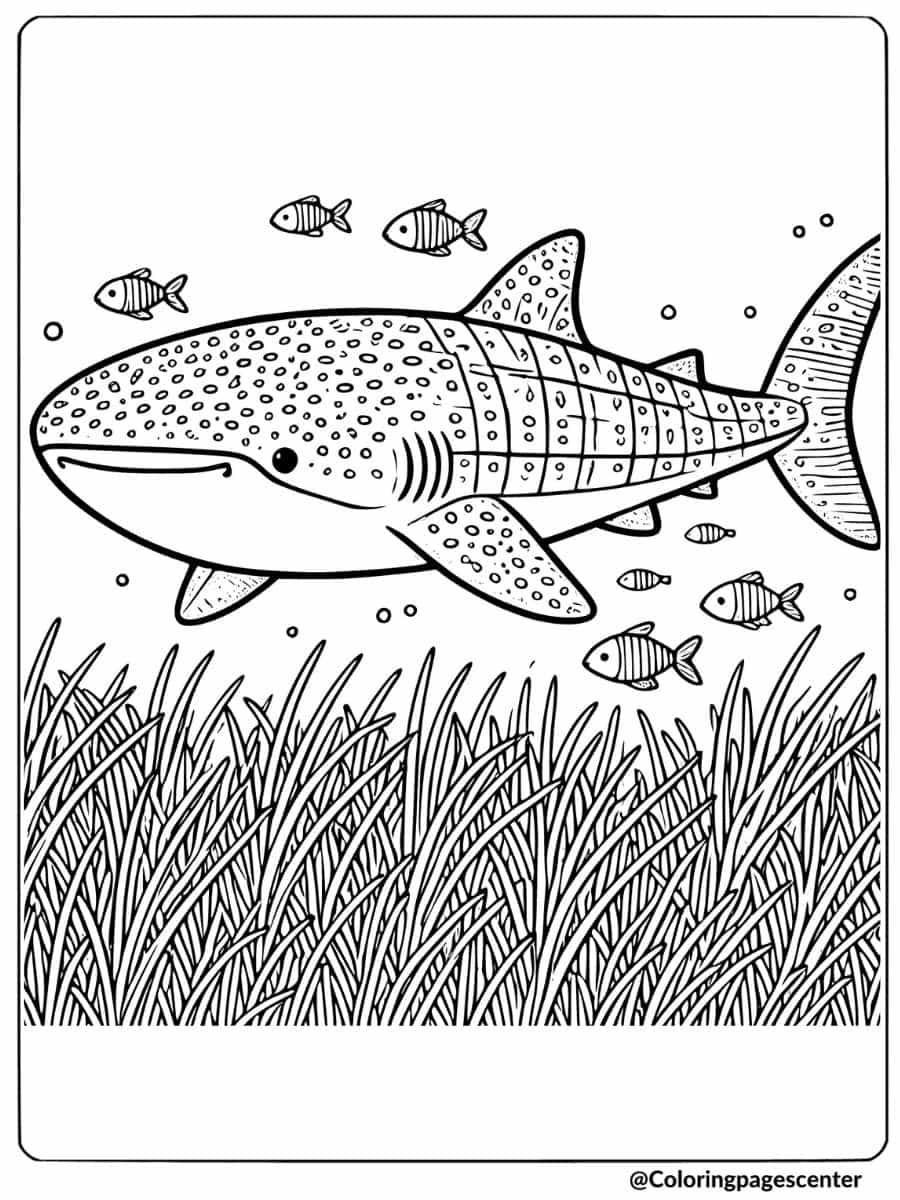 Whale shark gliding through sea grass coloring page