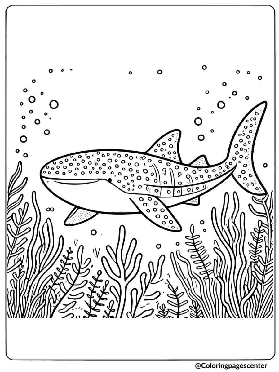 Whale shark swimming among seaweed coloring page