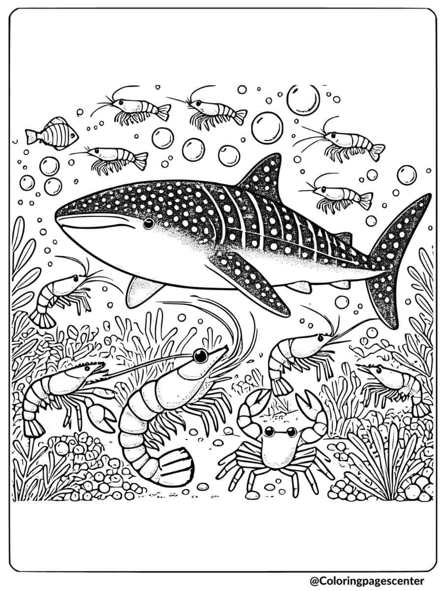 Whale shark swimming with shrimp and crab in the ocean coloring page