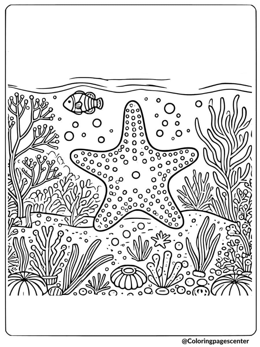 Starfish and fish with sea plants coloring page