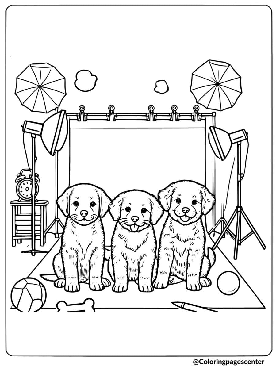 Three dogs posing for a photo in a studio with props coloring page