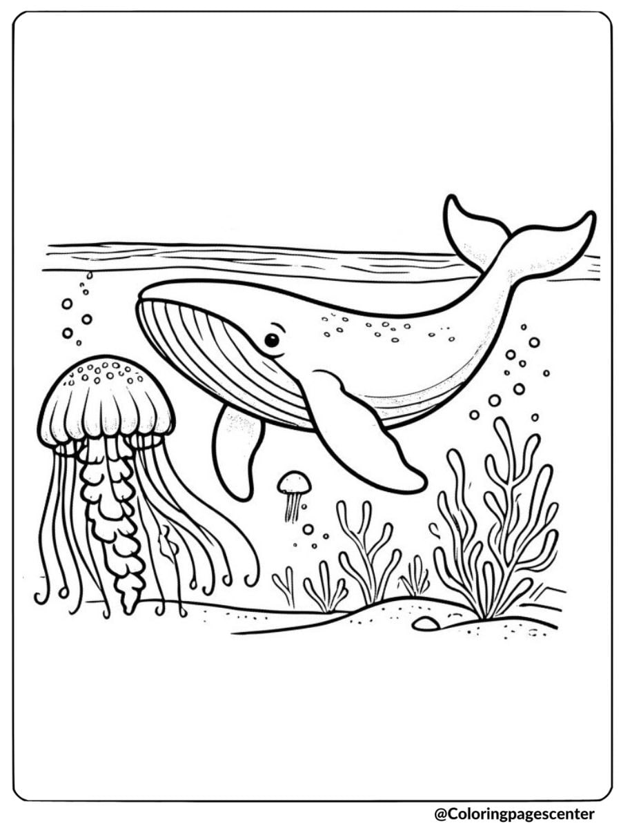 Whale swimming with jellyfish coloring page