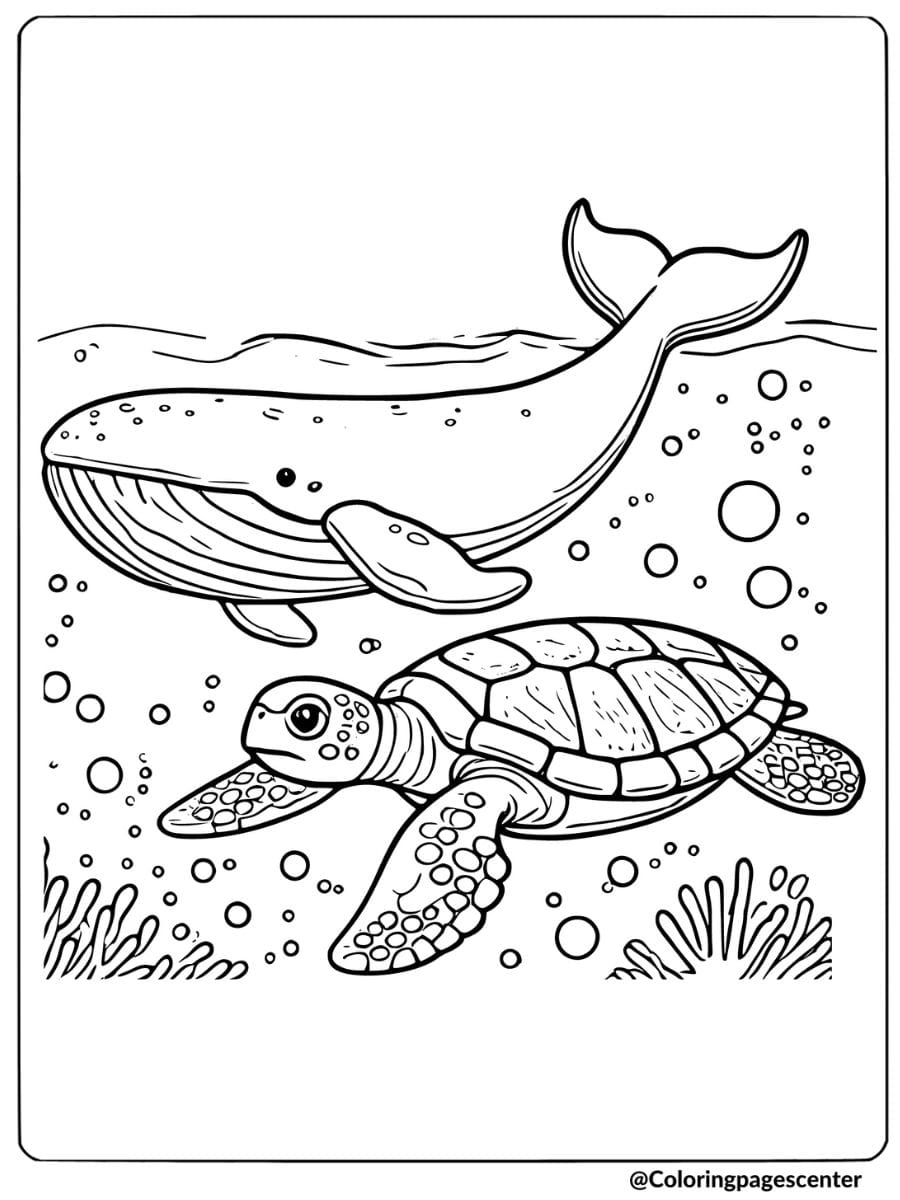 Whale swimming with a sea turtle coloring page