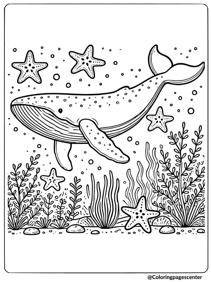 Whale with starfish underwater coloring page