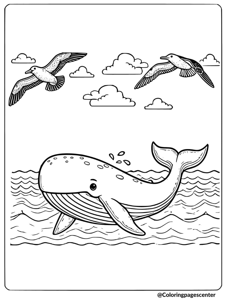 Whale swimming with seagulls above coloring page