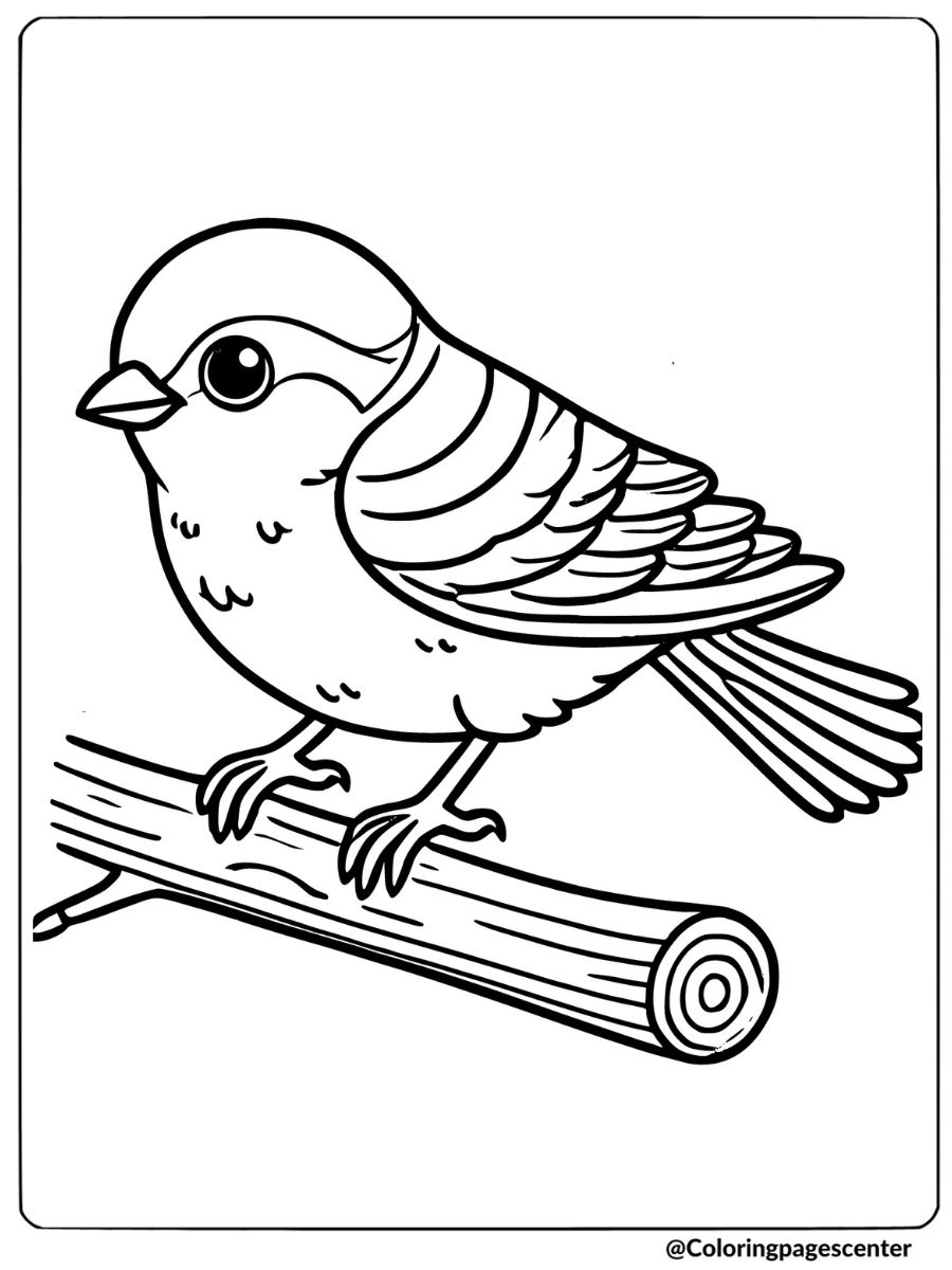 Coloring page of a bird perched on branch, cute animal page