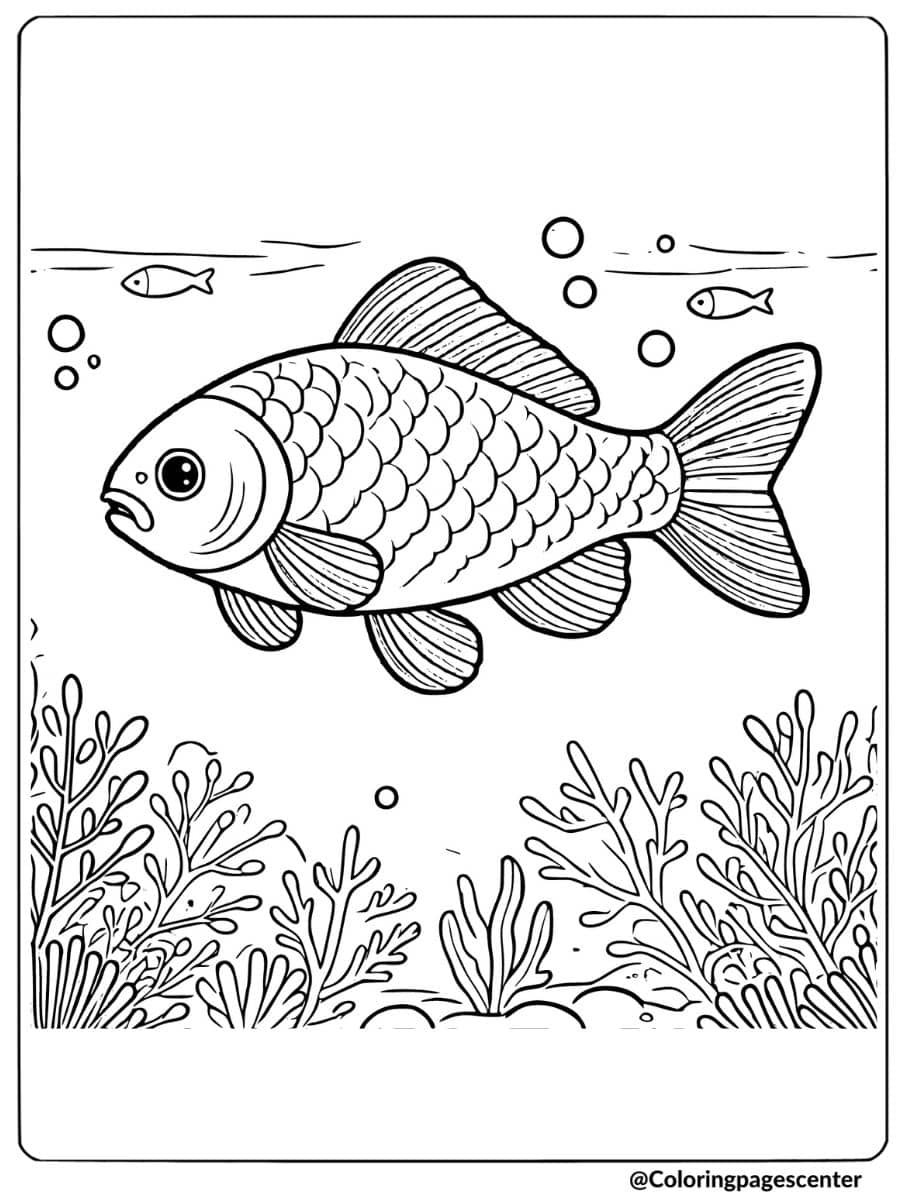 Coloring page of a fish swimming, fun animal coloring page