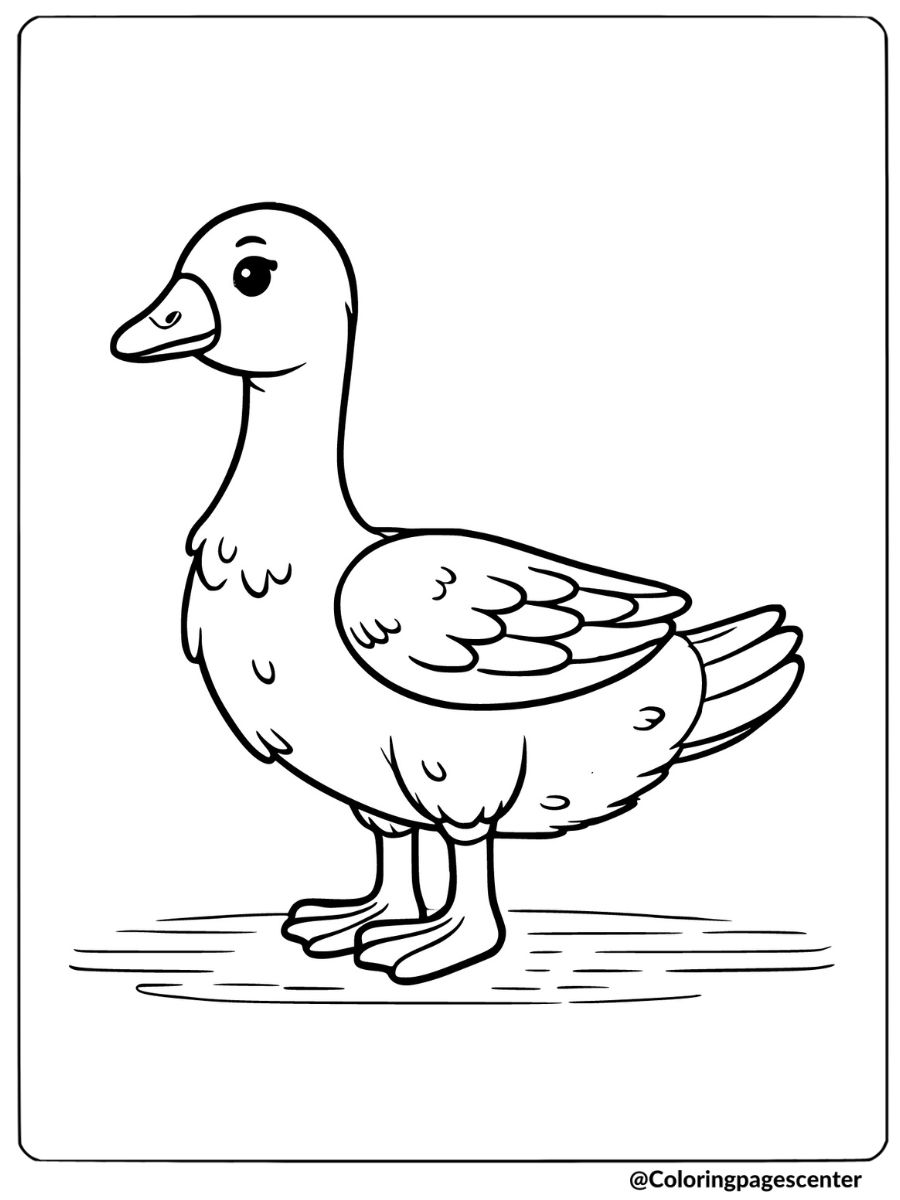 Coloring page of a goose standing, simple animal illustration