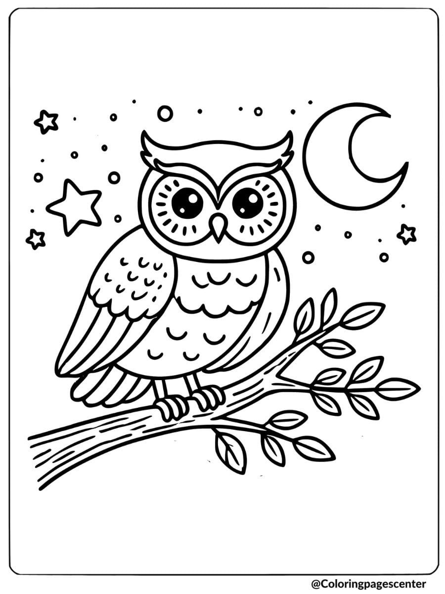 Coloring page of an owl on a branch, night animal scene