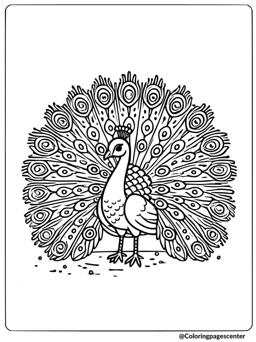 Coloring page of a peacock with feathers spread, majestic animal scene