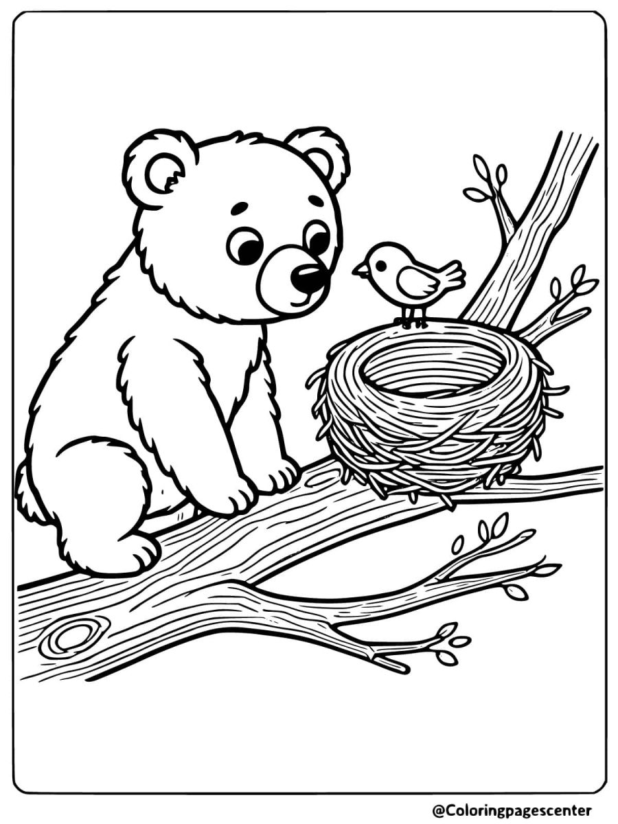 Bear looking at bird's nest coloring page