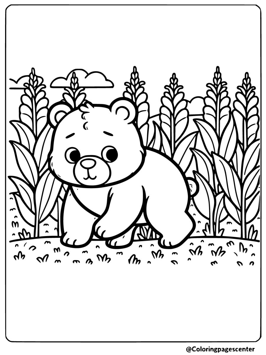 Brown bear exploring a cornfield coloring page