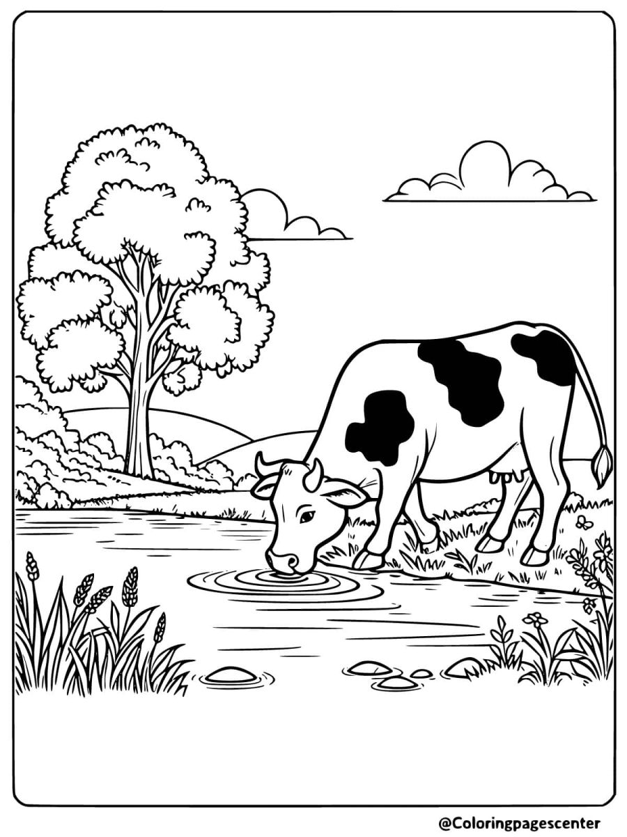 Coloring page of a cow drinking water by a pond