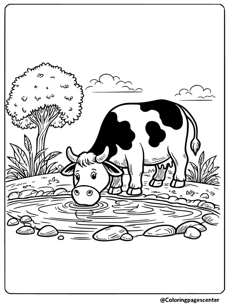 Coloring page of a cow drinking water by a pond