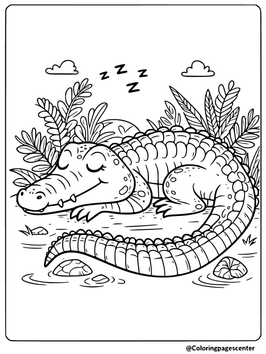 Crocodile sleeping peacefully in jungle coloring page