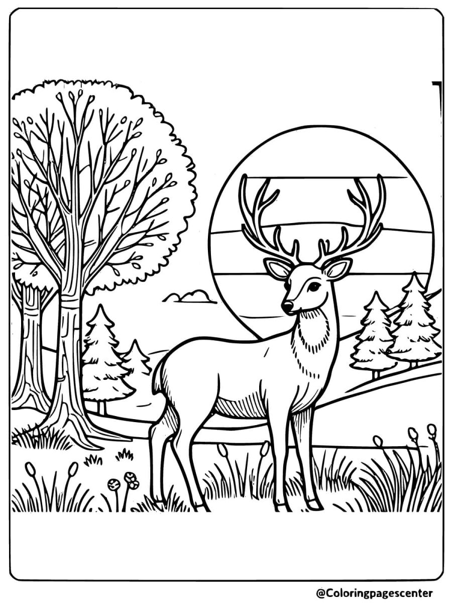 Majestic deer basking in the sunset coloring page