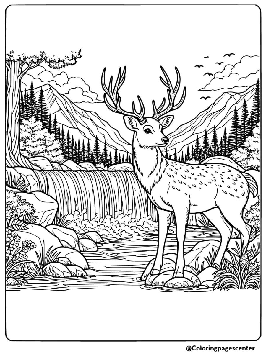 Deer standing proudly by a serene waterfall coloring page