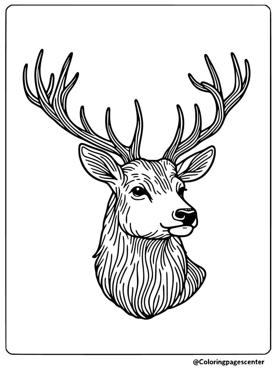 Deer head with long curved antlers coloring page