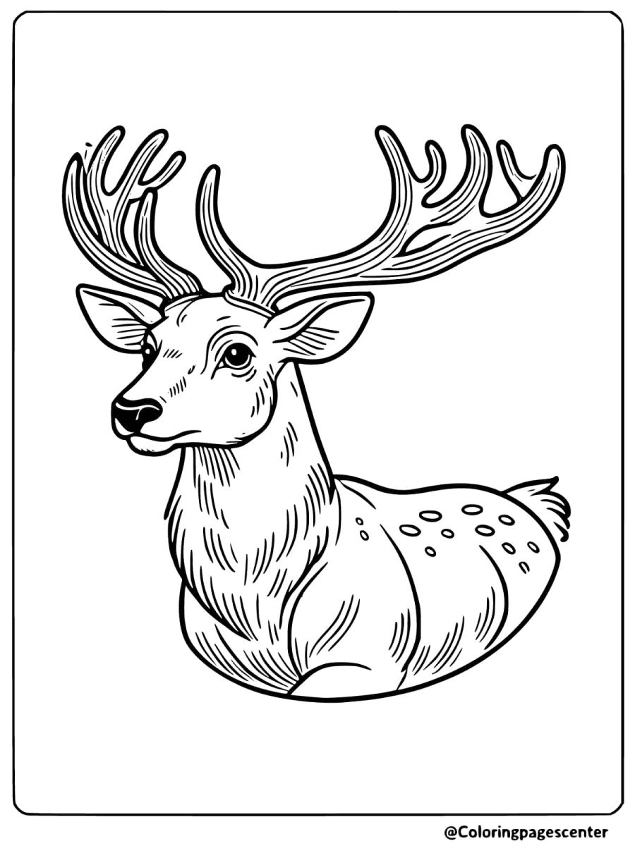 A realistic deer head with large antlers coloring page