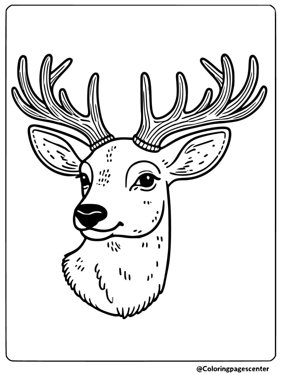 Coloring page of an elaborate deer head for skilled artists