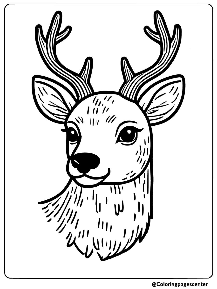 Coloring page with a detailed deer head and natural antlers