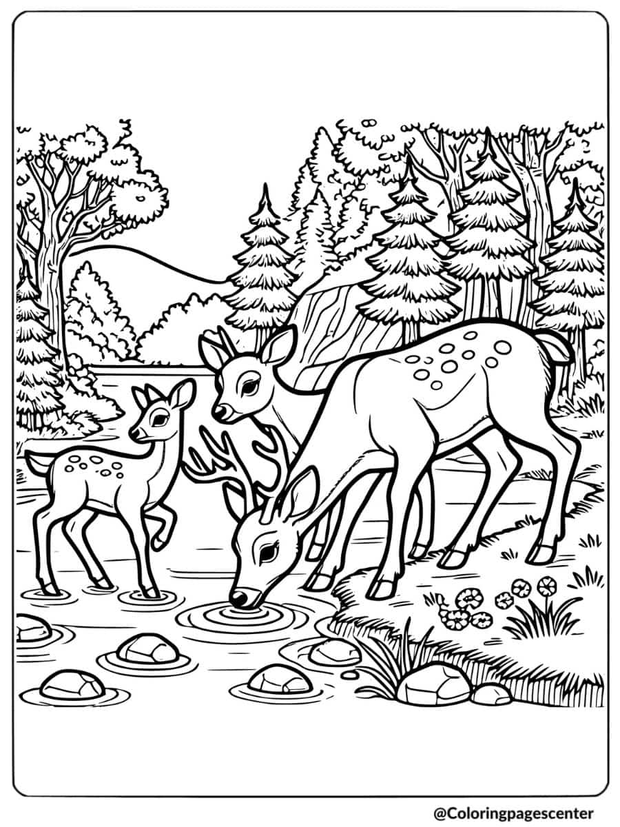 Family deer drinking from a river coloring page