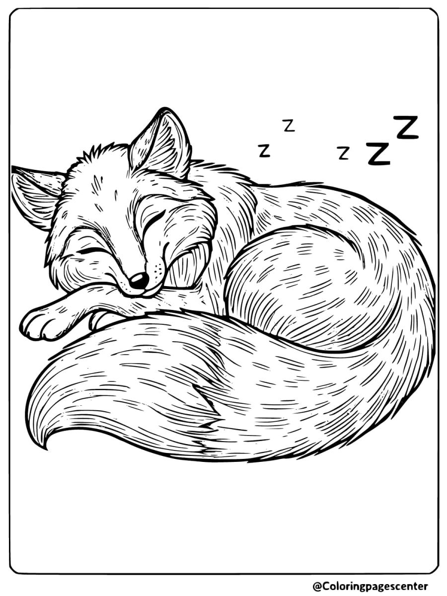 Curled up red fox sleeping coloring page for kids