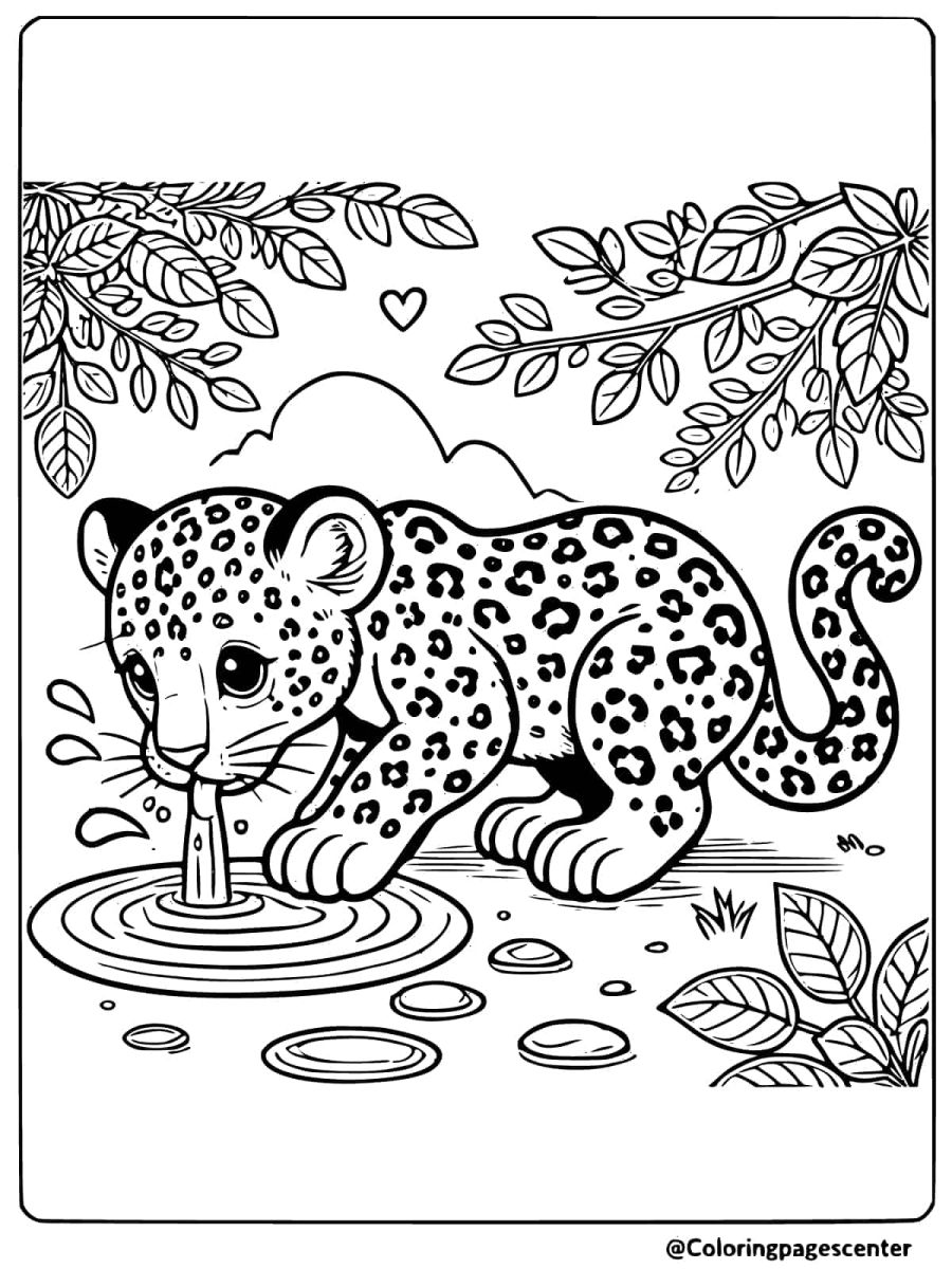 Thirsty baby leopard drinking from a pond coloring page