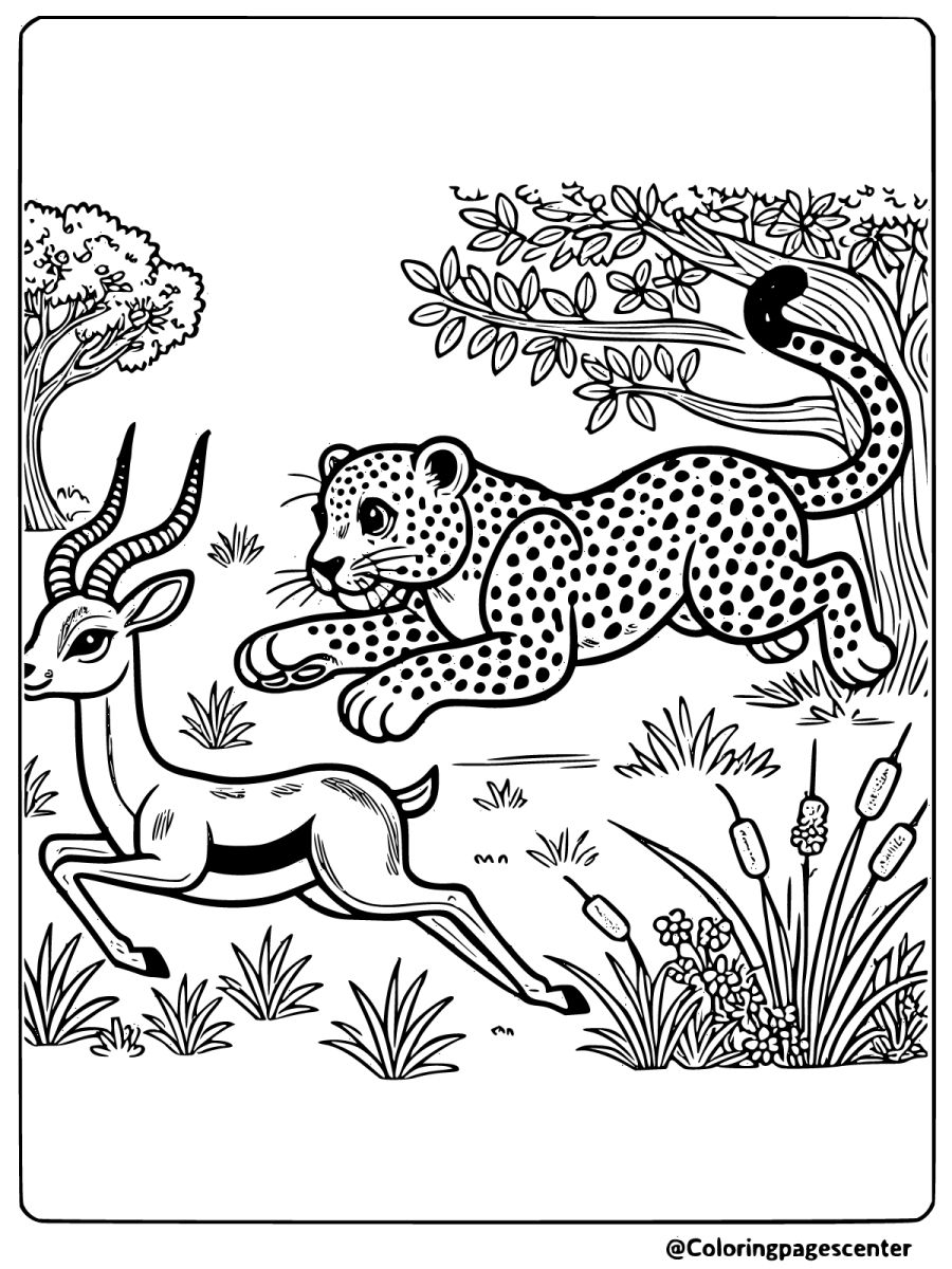 Leopard chasing a gazelle through the grass coloring page